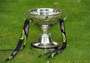 28 May 2010;The Cup before a photocall ahead of the Celtic League Grand Final to be played in the RDS on Saturday. Bewleys Hotel, Ballsbridge, Dublin. Picture credit: Ray McManus / SPORTSFILE