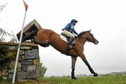 29 May 2010; Great Britain's Emily Chandler on Beeswing clears a fence during the One Star International Cross Country Competition at the 2010 Tattersalls International Horse Trials, in association with Horse Sport Ireland. Tattersalls, Ratoath, Co. Meath. Picture credit: Brendan Moran / SPORTSFILE