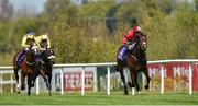 8 May 2016; Lundy, with Donnacha O'Brien up, jumps the last on their way to winning the Irish Stallion Farms European Breeders Fund Auction Maiden ahead  of second place Dapper Man, with Pat Smullen up, and Cosy Club with Fran Berry up. Horse Racing from Leopardsown - Family Fun Raceday. Leopardstown, Co. Dublin. Picture credit: Matt Browne / SPORTSFILE