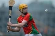 7 May 2016; Gerard Coady, Carlow. Leinster GAA Hurling Championship Qualifier, Round 2, Offaly v Carlow. O'Connor Park, Tullamore, Co. Offaly. Picture credit: Matt Browne / SPORTSFILE