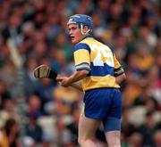 3 September 1995, Eamonn Taaffe Clare.   Picture Credit: Ray McManus/SPORTSFILE.