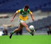 17 June 2001; Alan McNamee of Offaly during the Bank of Ireland Leinster Senior Football Championship Semi-Final match between Dublin and Offaly at Croke Park in Dublin. Photo by Ray McManus/Sportsfile
