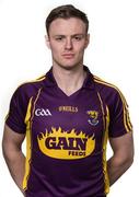 20 April 2016; Matthew O'Hanlon, Wexford. Wexford Hurling Squad Portraits 2016, Wexford Centre of Excellence, Ferns, Co. Wexford. Picture credit: Piaras Ó Mídheach / SPORTSFILE