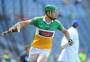 20 June 2010; Joe Bergin, Offaly, celebrates after scoring a first half goal. Leinster GAA Hurling Senior Championship Semi-Final, Galway v Offaly, Croke Park, Dublin. Picture credit: Oliver McVeigh / SPORTSFILE