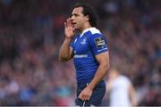 20 May 2016; Isa Nacewa of Leinster during the Guinness PRO12 Play-off match between Leinster and Ulster at the RDS Arena in Dublin. Photo by Ramsey Cardy/Sportsfile