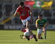 14 May 2016; James Califf of Louth during the Leinster GAA Football Senior Championship, Round 1, Louth v Carlow in O'Moore Park, Portlaoise, Co. Laois. Photo by Matt Browne/Sportsfile