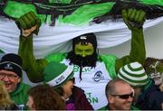 21 May 2016; A Connacht supporter urges on his side ahead of the Guinness PRO12 Play-off match between Connacht and Glasgow Warriors at the Sportsground in Galway. Photo by Stephen McCarthy/Sportsfile