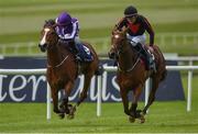 22 May 2016; Jet Setting, right, with Shane Foley up, leads race favourite Minding, with Ryan Dwyer up, on their way to winning the Tattersalls Irish 1,000 Guineas race at the Curragh Racecourse, Curragh, Co. Kildare. Photo by Brendan Moran/Sportsfile