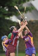 26 June 2010; Sinead Keane and Ann-Marie Hayes, left, Galway, in action against Fiona Kavanagh and Katriona Parrock, left, Wexford. Gala All-Ireland Senior Camogie Championship, Galway v Wexford. Kenny Park, Athenry, Co Galway. Picture credit: Diarmuid Greene / SPORTSFILE