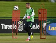 23 May 2016; Shay Given of Republic of Ireland during squad training in the National Sports Campus, Abbotstown, Dublin. Photo by David Maher/Sportsfile