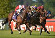 3 June 2016; Eventual winner Beechmount Whisper, left, with Gary Halpin up, races alongside eventual second place Primal Snow, centre, with Donnacha O'Brien up, and eventual third place Specific Gravity, with Declan McDonogh up, on their way to winning the Bulmers Live At Leopardstown Festival Maiden during the British Irish Chamber of Commerce Raceday in Leopardstown, Co. Dublin. Photo by Cody Glenn/Sportsfile