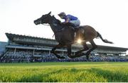 3 June 2016; Order Of St George, with Donnacha O'Brien up, on their way to winning The Seamus & Rosemary McGrath Memorial Saval Beg Stakes during the British Irish Chamber of Commerce Raceday in Leopardstown, Co. Dublin. Photo by Cody Glenn/Sportsfile