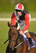 3 June 2016; Jockey Gary Halpin on Beechmount Whisper after winning the Bulmers Live At Leopardstown Festival Maiden during the British Irish Chamber of Commerce Raceday in Leopardstown, Co. Dublin. Photo by Cody Glenn/Sportsfile