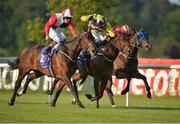 3 June 2016; Eventual winner Beechmount Whisper, left, with Gary Halpin up, races alongside eventual second place Primal Snow, centre, with Donnacha O'Brien up, and eventual third place Specific Gravity, with Declan McDonogh up, on their way to winning the Bulmers Live At Leopardstown Festival Maiden during the British Irish Chamber of Commerce Raceday in Leopardstown, Co. Dublin. Photo by Cody Glenn/Sportsfile