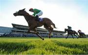 3 June 2016; Fact Or Folklore, with Billy Lee up, compete in The Seamus & Rosemary McGrath Memorial Saval Beg Stakes during the British Irish Chamber of Commerce Raceday in Leopardstown, Co. Dublin. Photo by Cody Glenn/Sportsfile