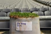4 June 2016; A grass sample is grown in a plantpot pitchside by Croke Park grounds staff ahead of the Christy Ring Cup Final between Antrim and Meath in Croke Park, Dublin. Photo by Piaras Ó Mídheach/Sportsfile