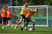 9 June 2016; James McClean, right, and Shane Long of Republic of Ireland during squad training at UEFA EURO2016 in Versailles, Paris, France. Photo by David Maher/Sportsfile
