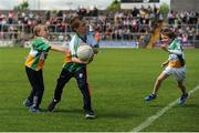 12 June 2016; Young Offaly supporters Barry Bradley, left, age 7, from Tubber, Ronan Murray, centre, age 11, from Ballycumber, and Luke Tooher, right, age 6, from Tubber, Co. Offaly, play on the pitch ahead of the Leinster GAA Football Senior Championship Quarter-Final match between Westmeath and Offaly at Cusack Park in Mullingar, Co. Westmeath. Photo by Seb Daly/Sportsfile