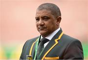 11 June 2016; South Africa head coach Allister Coetzee before the 1st test of the Castle Lager Incoming series between South Africa and Ireland at the DHL Newlands Stadium in Cape Town, South Africa. Photo by Brendan Moran/Sportsfile