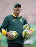 11 June 2016; South Africa High Performance coach Jacques Nienaber before the 1st test of the Castle Lager Incoming series between South Africa and Ireland at the DHL Newlands Stadium in Cape Town, South Africa. Photo by Brendan Moran/Sportsfile