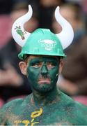 11 June 2016; A South Africa supporter during the 1st test of the Castle Lager Incoming series between South Africa and Ireland at the DHL Newlands Stadium in Cape Town, South Africa. Photo by Brendan Moran/Sportsfile
