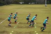 14 June 2016; Ireland players, from left, Conor Murray, Keith Earls, Stuart Olding, Matt Healy and Craig Gilroy during squad training at St David Marist School in Sandton, Johannesburg, South Africa. Photo by Brendan Moran/Sportsfile