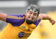 18 June 2016; Jack O’ Leary of South Wexford celebrates winning a free during the Corn John Scott, Division 2, Celtic Challenge Final 2016 match between Kerry and South Wexford at Nowlan Park in Kilkenny. Photo by Piaras Ó Mídheach/Sportsfile