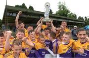 19 June 2016; Cillian Boggan of Faythe Harriers, Wexford, lifts the cup as his teammates celebrate after the John West Féile na nGael Division One Final between Glen Rovers of Cork and Faythe Harriers of Wexford at Leahy Park in Waller's-Lot, Co Tipperary. Photo by Matt Browne/Sportsfile