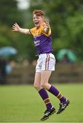 19 June 2016; Josh Shiel of Faythe Harriers, Wexford, celebrates after the final whistle at the John West Féile na nGael Division One Final between Glen Rovers, Cork, and Faythe Harriers, Wexford, at Leahy Park in Waller's-Lot, Co Tipperary. Photo by Matt Browne/Sportsfile
