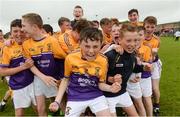 19 June 2016; Sean Byrne, 2, of Faythe Harriers, Wexford, celebrates with his team-mates after the John West Féile na nGael Division One Final between Glen Rovers of Cork and Faythe Harriers of Wexford at Leahy Park in Waller's-Lot, Co Tipperary. Photo by Matt Browne/Sportsfile