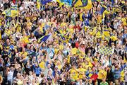 1 August 2010; Roscommon supporters cheer after a score. Supporters at the GAA Football All-Ireland Senior Championship Quarter-Finals, Croke Park, Dublin. Picture credit: Barry Cregg / SPORTSFILE