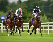 23 June 2016; Eagle Spirit, with Donnacha O'Brien up, race ahead of Venezuela, left, with Seamie Heffernan up, who finished second, and Neoclassical, with Pat Smullen up, who finished fourth, on their way to winning the Irish Stallion Farms European Breeders Fund Maiden during the Bulmer's Evening Meeting at Leopardstown Racecourse in Leopardstown, Dublin. Photo by Cody Glenn/Sportsfile