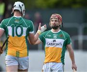 23 June 2016; Dylan Murphy, right, and Johnny O'Toole Greene of Offaly after the Bord Gáis Energy Leinster GAA Hurling U21 Championship Semi-Final match between Carlow and Offaly at Netwatch Cullen Park in Carlow. Photo by Matt Browne/Sportsfile