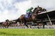 24 June 2016; Rehana, with Shane Foley up, on their way to winning the Peter Keatley Curragh Equine Groundcare European Breeders Fund Fillies Maiden at the Curragh Racecourse in the Curragh, Co. Kildare. Photo by Cody Glenn/Sportsfile