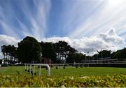 23 June 2016; A general view of the parade ring at Leopardstown Racecourse ahead of the Bulmer's Evening Meeting at Leopardstown Racecourse in Leopardstown, Dublin. Photo by Cody Glenn/Sportsfile