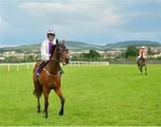 23 June 2016; Leath Na Hoibre, with Kevin Manning up, following the Racecourse of the Year Handicap on Fit For Function during the Bulmer's Evening Meeting at Leopardstown Racecourse in Leopardstown, Dublin. Photo by Cody Glenn/Sportsfile
