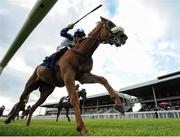 24 June 2016; Radar O'Reilly, with Colin Keane up, on their way to winning the Irish Independent European Breeders Fund Maiden at the Curragh Racecourse in the Curragh, Co. Kildare. Photo by Cody Glenn/Sportsfile