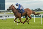 24 June 2016; Radar O'Reilly, with Colin Keane up, on their way to winning the Irish Independent European Breeders Fund Maiden at the Curragh Racecourse in the Curragh, Co. Kildare. Photo by Cody Glenn/Sportsfile