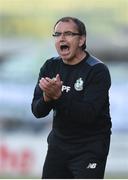24 June 2016; Shamrock Rovers manager Pat Fenlon during the SSE Airtricity League Premier Division game between Shamrock Rovers and Cork City at Tallaght Stadium in Tallaght, Dublin. Photo by Ramsey Cardy/Sportsfile