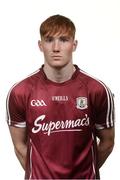 24 June 2016; Conor Whelan, Galway. Galway Hurling Squad Portraits 2016, Enfield, Meath. Photo by Sam Barnes/Sportsfile