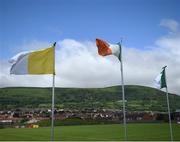 25 June 2016; Flags fly over Corrigan Park ahead of the All-Ireland Football Senior Championship 1B qualifier game between Antrim and Limerick at Corrigan Park in Belfast. Photo by Ramsey Cardy/Sportsfile