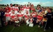 15 July 2001; The Derry team celebrate with the cup after the Guinness Ulster Senior Hurling Championship Final match between Derry and Down at Casement Park in Belfast. Photo by Aoife Rice/Sportsfile