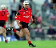 15 July 2001; Noel Sands of Down celebrates after scoring a goal during the Guinness Ulster Senior Hurling Championship Final match between Derry and Down at Casement Park in Belfast. Photo by Aoife Rice/Sportsfile