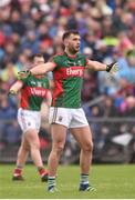 18 June 2016; Aidan O’Shea of Mayo during the Connacht GAA Football Senior Championship Semi-Final match between Mayo and Galway at Elverys MacHale Park in Castlebar, Co Mayo. Photo by Ramsey Cardy/Sportsfile