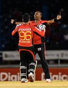 29 June 2016; Dwayne Bravo of Trinbago Knight Riders celebrates the dismissal of Shane Watson of St Lucia Zouks during Match 1 of the Hero Caribbean Premier League between Trinbago Knight Riders and St Lucia Zouks at the Queen's Park Oval in Port of Spain, Trinidad. Photo by Randy Brooks/Sportsfile