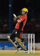 4 July 2016; Colin Munro of Trinbago Knight Riders hits a 4 during Match 7 of the Hero Caribbean Premier League between Trinbago Knight Riders and Jamaica Tallawahs at Queen's Park Oval, in Port of Spain, Trinidad. Photo by Randy Brooks/Sportsfile