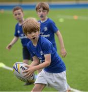 6 July 2016; Johnny Ellis, age 8, from Donnybrook, in action during the Bank of Ireland Leinster Rugby Camp at Donnybrook Stadium, Donnybrook, Dublin. Photo by Piaras Ó Mídheach/Sportsfile