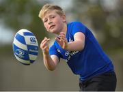 13 July 2016; Rian Handley in action during the Bank of Ireland Leinster Rugby Summer Camp - Greystones RFC at Greystones RFC in Greystones, Co Wicklow. Photo by Matt Browne/Sportsfile