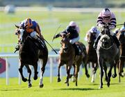 29 August 2010; Misty For Me, left, with Seamus Heffernan up, on their way to winning the Moyglare Stud Stakes from eventual second place Laughing Lashes, with Fran Berry up. Horse Racing, Curragh Racecourse, Co. Kildare. Picture credit: Matt Browne / SPORTSFILE