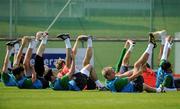 31 August 2010; General view of Republic of Ireland players during squad training ahead of their EURO 2012 Championship Group B Qualifier against Armenia on Friday. Republic of Ireland squad training, Gannon Park, Malahide, Dublin. Picture credit: David Maher / SPORTSFILE
